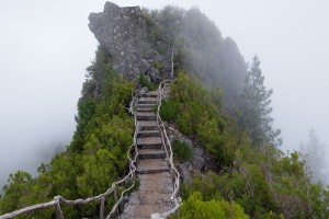 世界皮划艇短道赛：速度与策略成关键，世界皮划艇冠军是谁