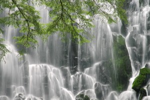 世界游泳锦标赛与地方文化节联合办赛成功，世界游泳锦标赛发奖