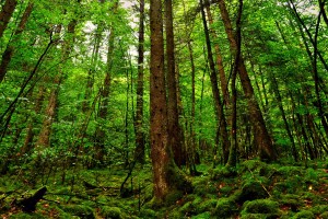 世界游艇青年赛赛事资料开放日活动吸引学生参与，世界游艇俱乐部
