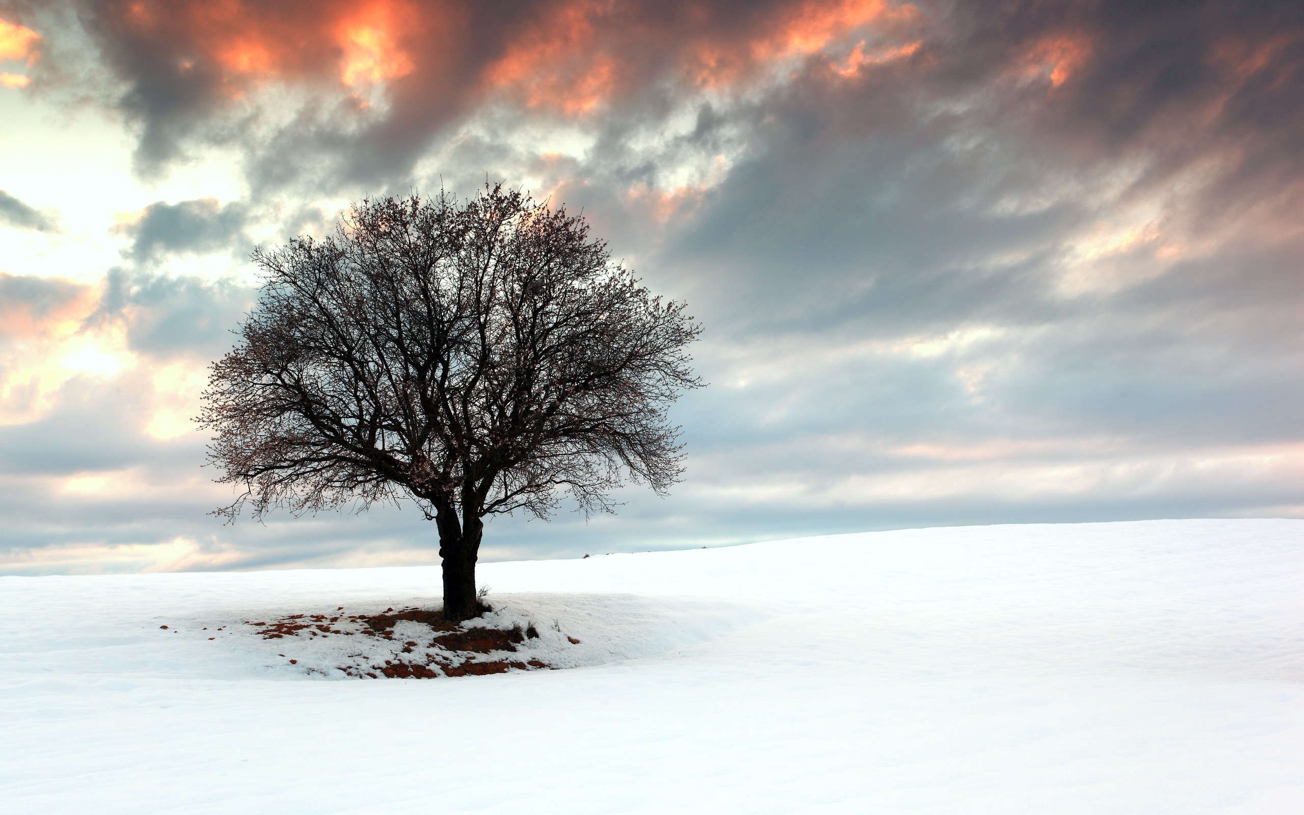 “村BA”总决赛在贵州台江打响,现场万人围观