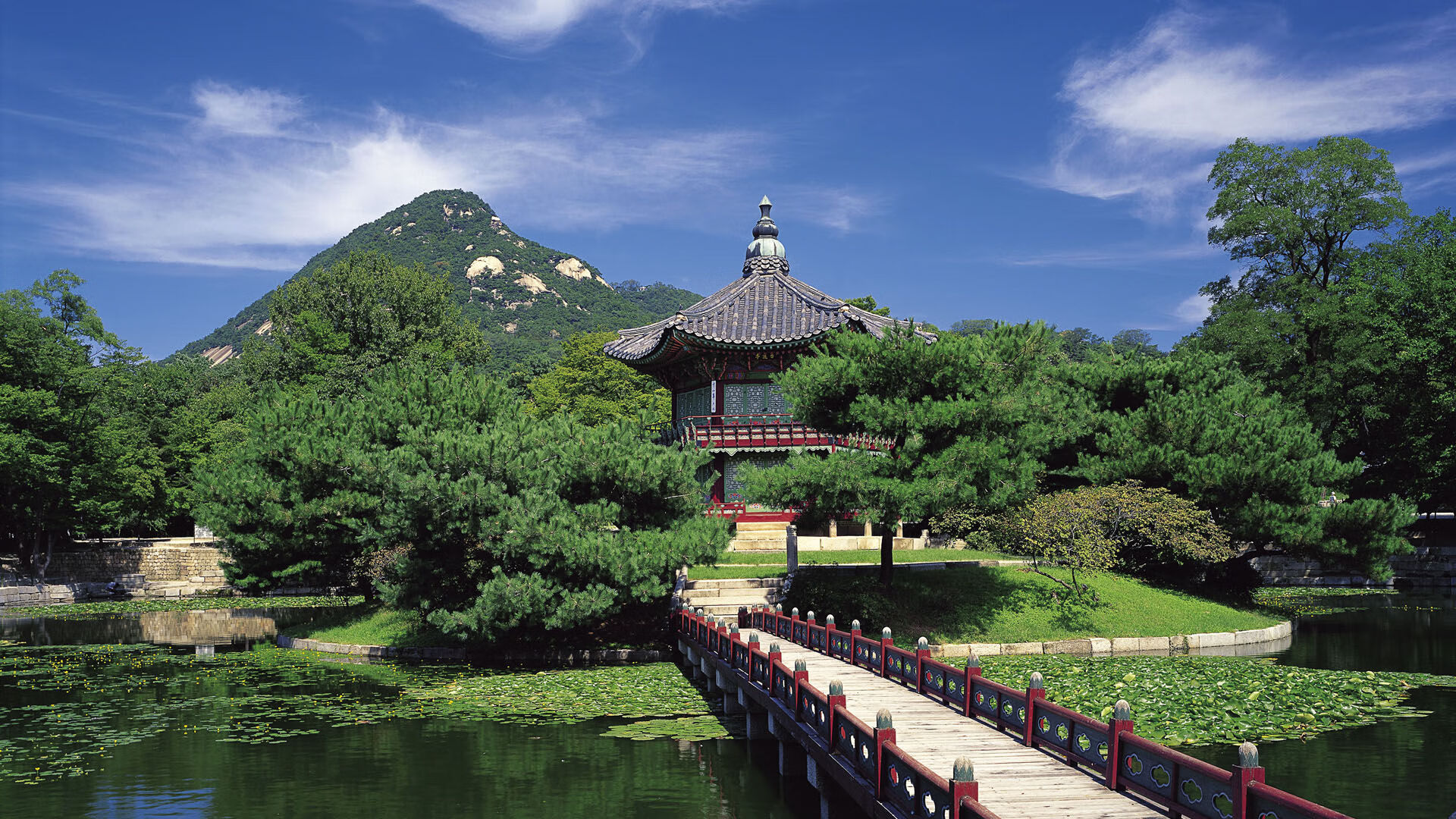 世界举重康复在线课堂新增康复效果长期追踪模块上线，世界举重纪录是多少