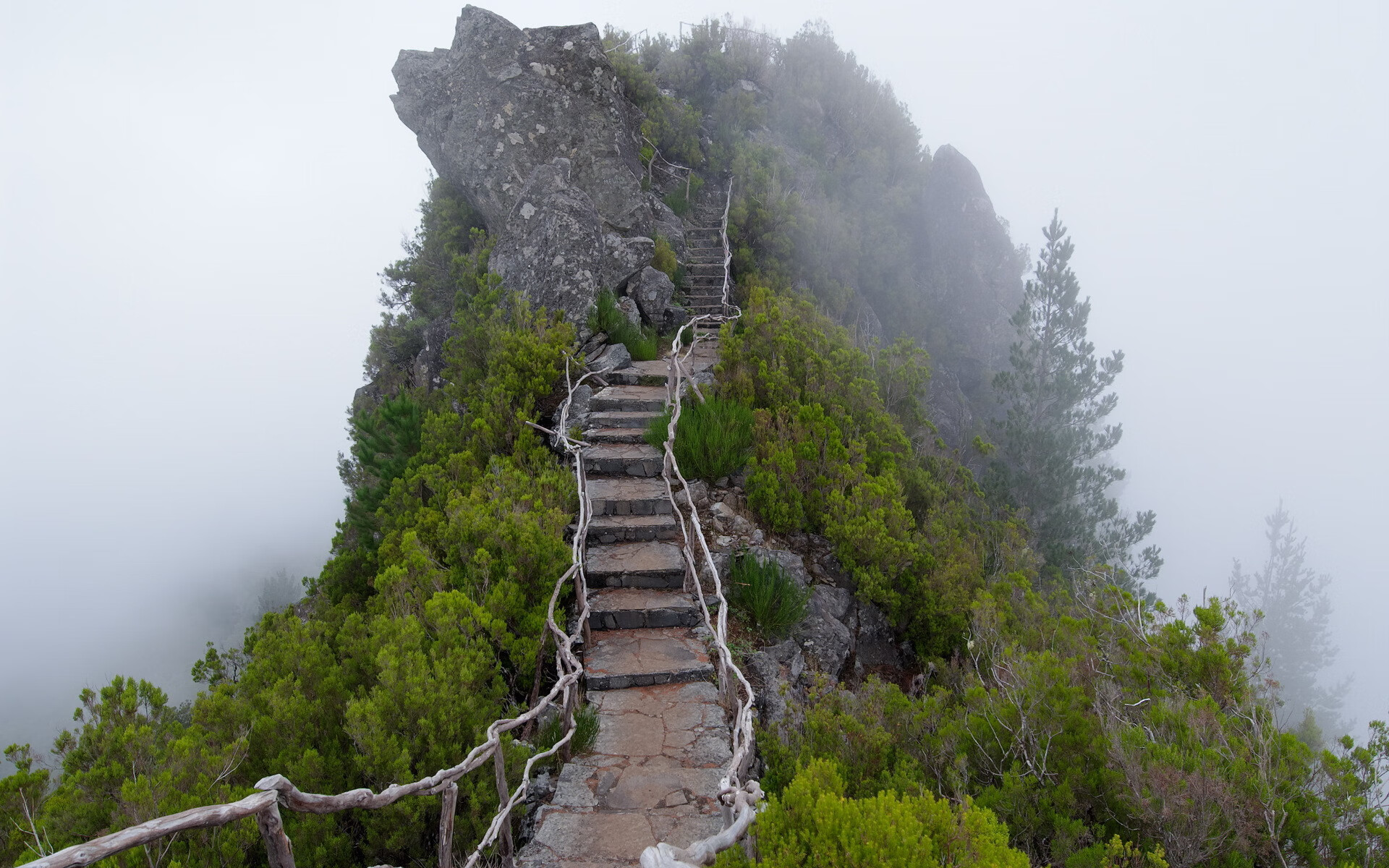 世界皮划艇短道赛:速度与策略成关键,世界皮划艇冠军是谁